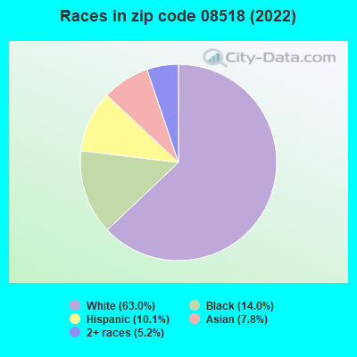 Races in zip code 08518 (2022)