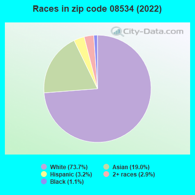 Races in zip code 08534 (2022)