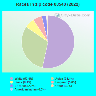 Races in zip code 08540 (2022)