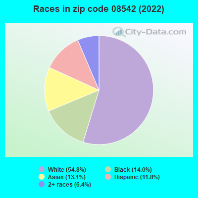 Races in zip code 08542 (2022)