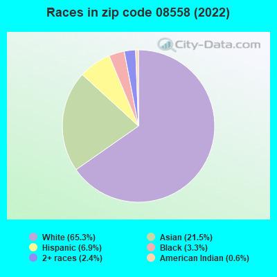 Races in zip code 08558 (2022)