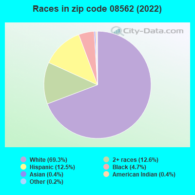 Races in zip code 08562 (2022)