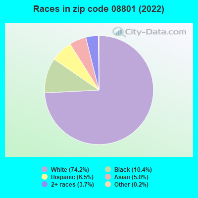 Races in zip code 08801 (2022)