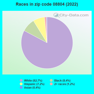 Races in zip code 08804 (2022)