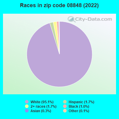 Races in zip code 08848 (2022)