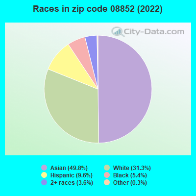 Races in zip code 08852 (2022)