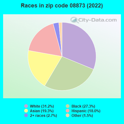 Races in zip code 08873 (2022)