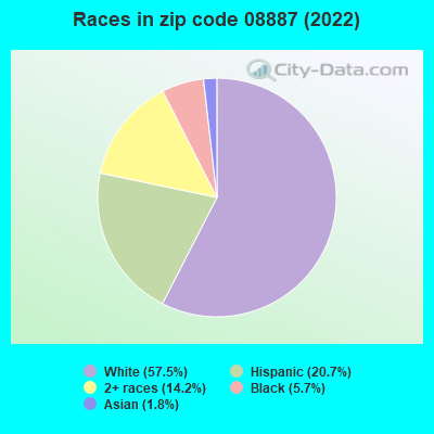 Races in zip code 08887 (2022)