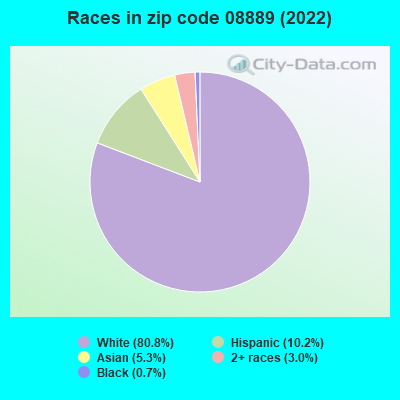 Races in zip code 08889 (2022)