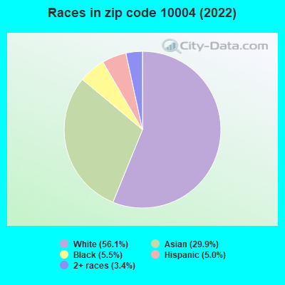 Races in zip code 10004 (2022)