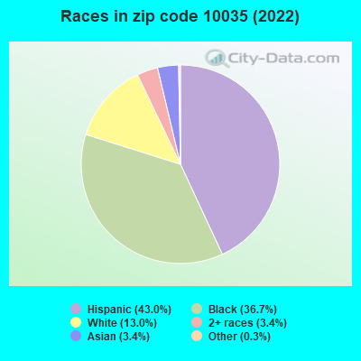 Races in zip code 10035 (2022)