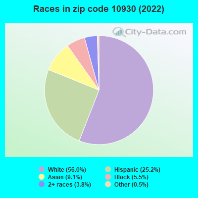 Races in zip code 10930 (2022)