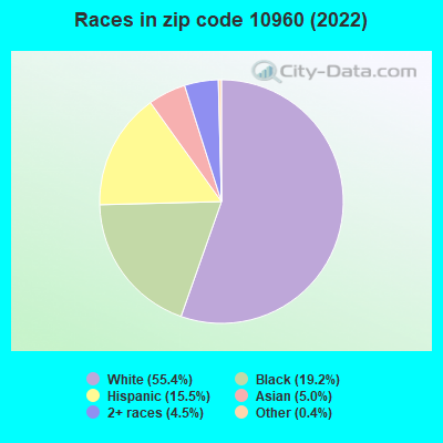 Races in zip code 10960 (2022)
