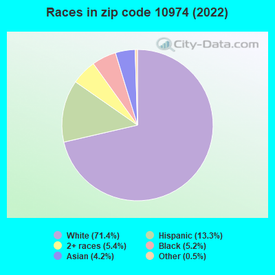 Races in zip code 10974 (2022)