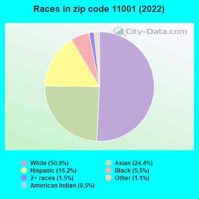 Races in zip code 11001 (2022)