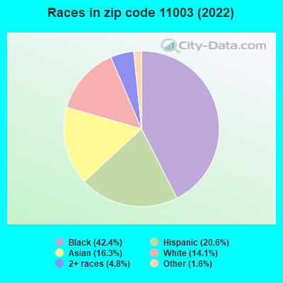 Races in zip code 11003 (2022)