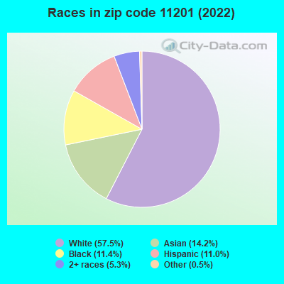 Races in zip code 11201 (2022)
