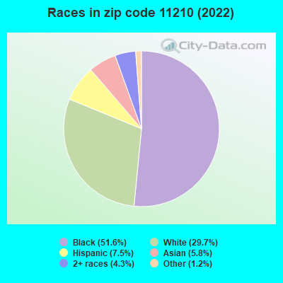 Races in zip code 11210 (2022)