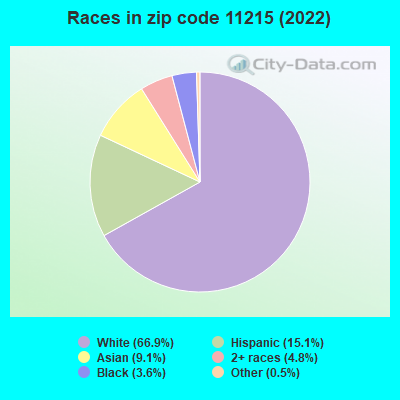 Races in zip code 11215 (2022)