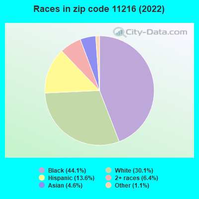 Races in zip code 11216 (2022)