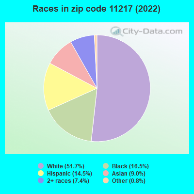 Races in zip code 11217 (2022)