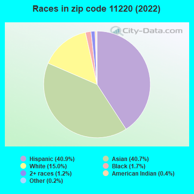 Races in zip code 11220 (2022)