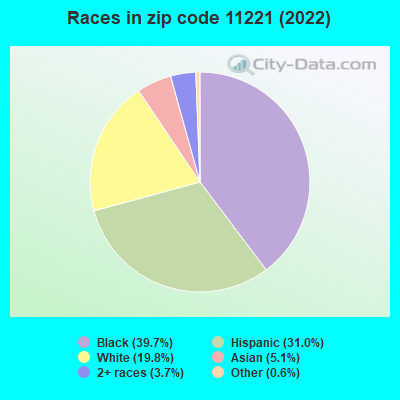 Races in zip code 11221 (2022)