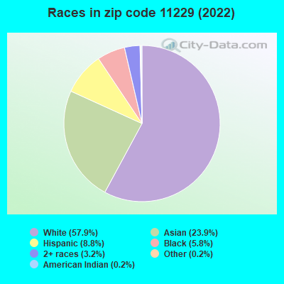 Races in zip code 11229 (2022)