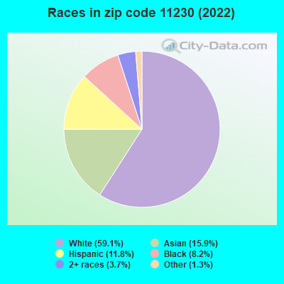 Races in zip code 11230 (2022)