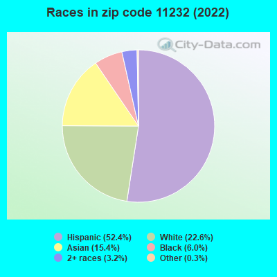Races in zip code 11232 (2022)