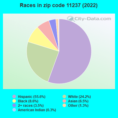 Races in zip code 11237 (2022)