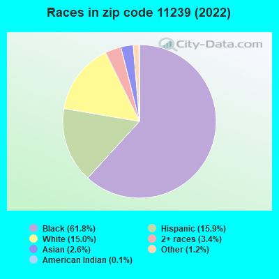 Races in zip code 11239 (2022)
