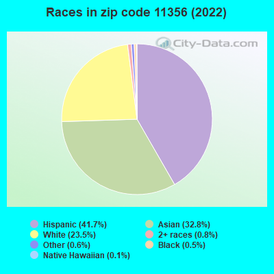 Races in zip code 11356 (2022)