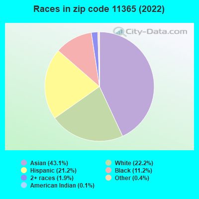 Races in zip code 11365 (2022)