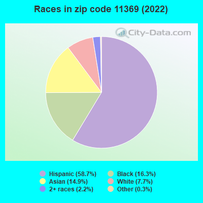Races in zip code 11369 (2022)