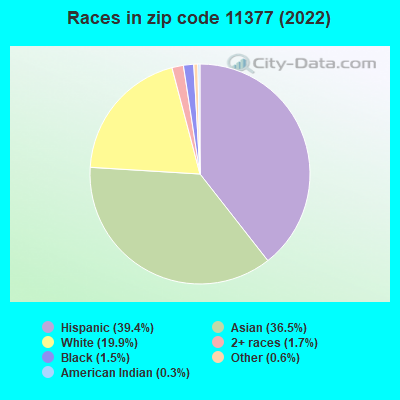 Races in zip code 11377 (2022)