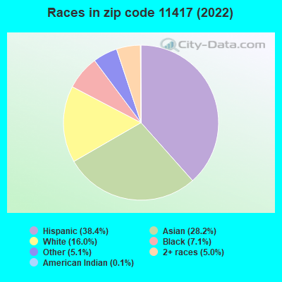 Races in zip code 11417 (2022)