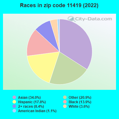 Races in zip code 11419 (2022)