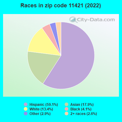 Races in zip code 11421 (2022)