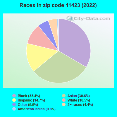 Races in zip code 11423 (2022)