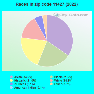 Races in zip code 11427 (2022)