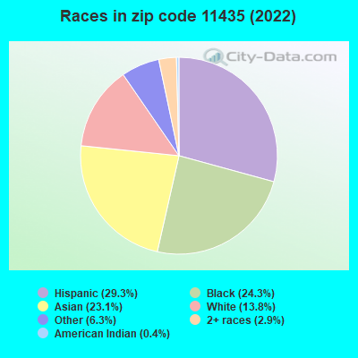 Races in zip code 11435 (2022)