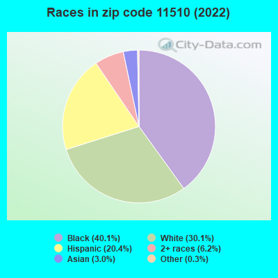 Races in zip code 11510 (2022)