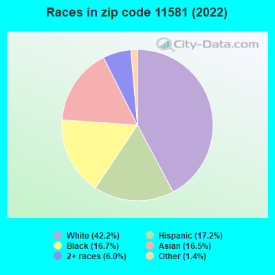 Races in zip code 11581 (2022)