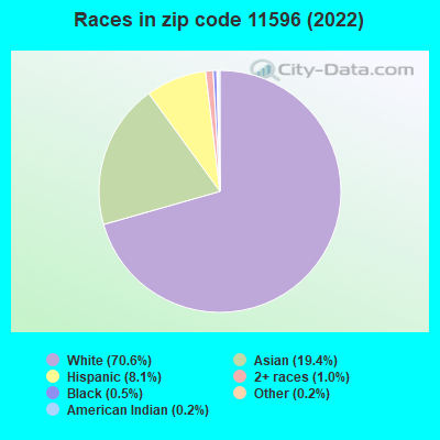 Races in zip code 11596 (2022)