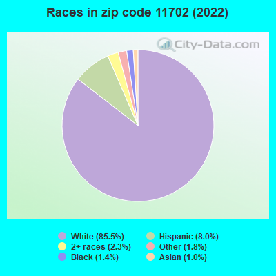 Races in zip code 11702 (2022)