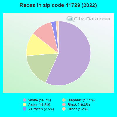 Races in zip code 11729 (2022)
