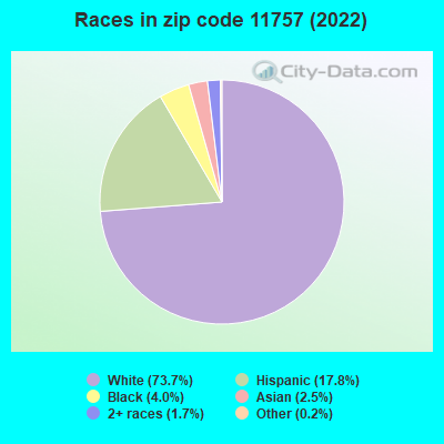 Races in zip code 11757 (2022)