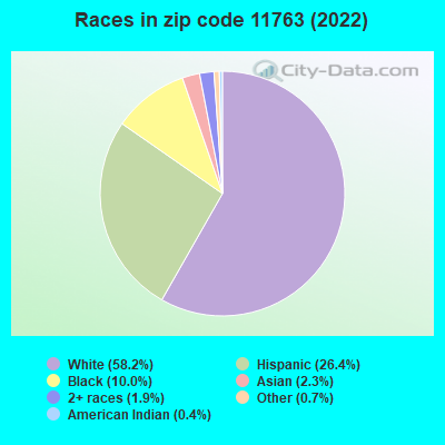 Races in zip code 11763 (2022)