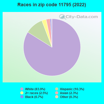 Races in zip code 11795 (2022)